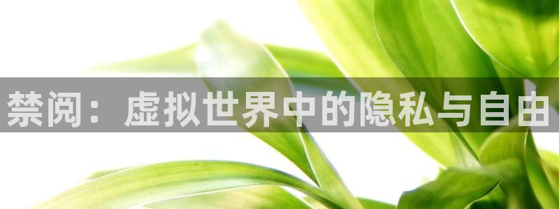 漫蛙漫画manwa最新最火最狂：禁阅：虚拟世界中的隐私与自由
