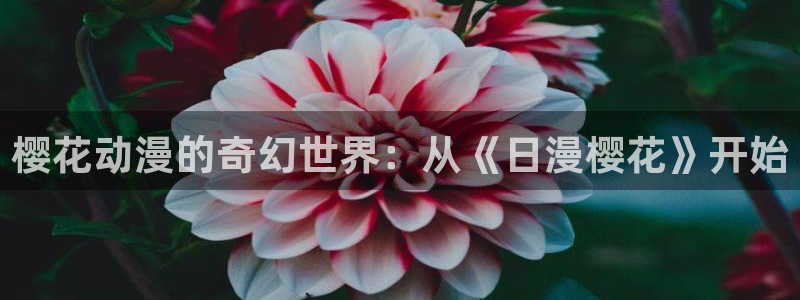 漫蛙 官网：樱花动漫的奇幻世界：从《日漫樱花》开始