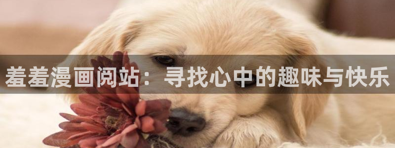 漫蛙漫画网页链接是什么：羞羞漫画阅站：寻找心中的趣味与快乐