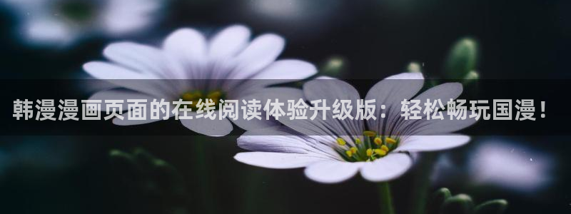 漫蛙防走失网页版：韩漫漫画页面的在线阅读体验升级版：轻松畅玩国漫！