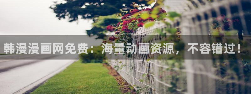 网站漫蛙：韩漫漫画网免费：海量动画资源，不容错过！