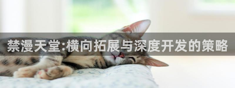 蛙漫官网链接：禁漫天堂:横向拓展与深度开发的策略