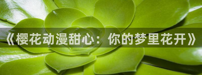 蛙漫网站入口：《樱花动漫甜心：你的梦里花开》