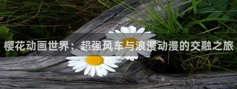 蛙漫安卓版下载：樱花动画世界：超强风车与浪漫动漫的交融之旅