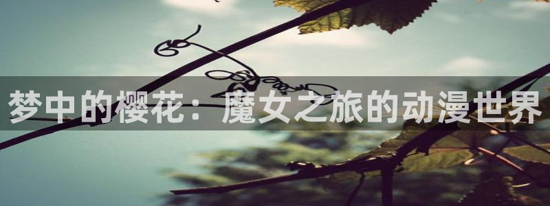 蛙漫(无删减)网址：梦中的樱花：魔女之旅的动漫世界