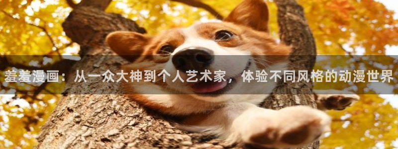 漫腐蛙：羞羞漫画：从一众大神到个人艺术家，体验不同风格的动漫世界