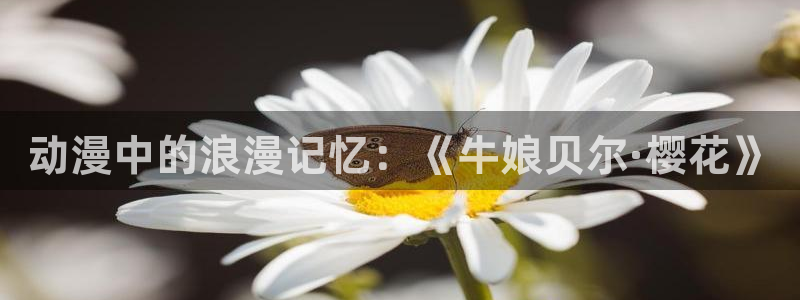 我为邪帝漫蛙：动漫中的浪漫记忆：《牛娘贝尔·樱花》