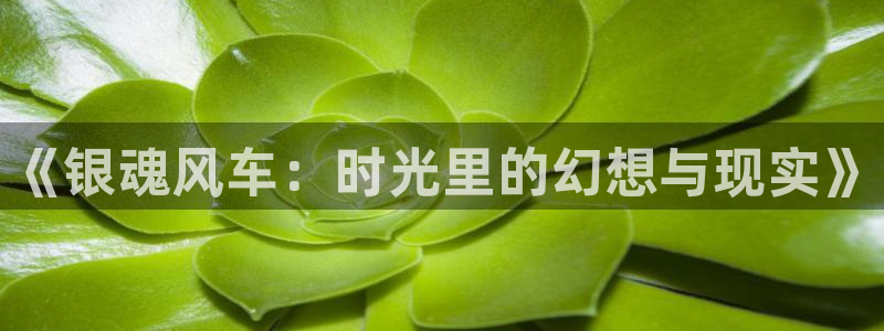 漫蛙v1.1.8正版下载：《银魂风车：时光里的幻想与现实》
