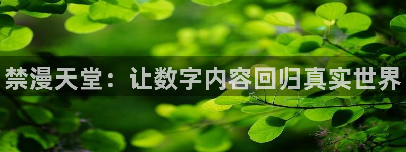 漫蛙2网页：禁漫天堂：让数字内容回归真实世界