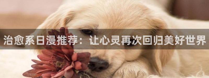 漫蛙 一耽：治愈系日漫推荐：让心灵再次回归美好世界