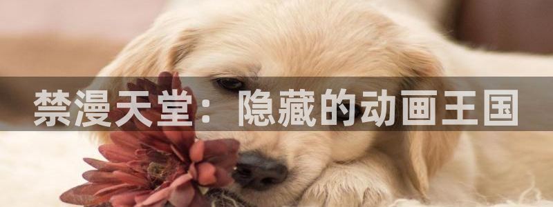 漫蛙入口官方网站