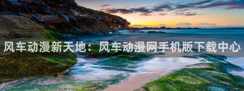 漫蛙要vip吗