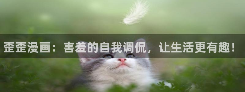 漫蛙防走失网页版