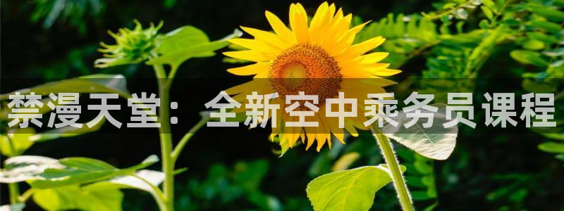 漫蛙2漫画官网app