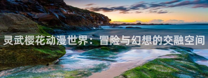 怎么下漫蛙