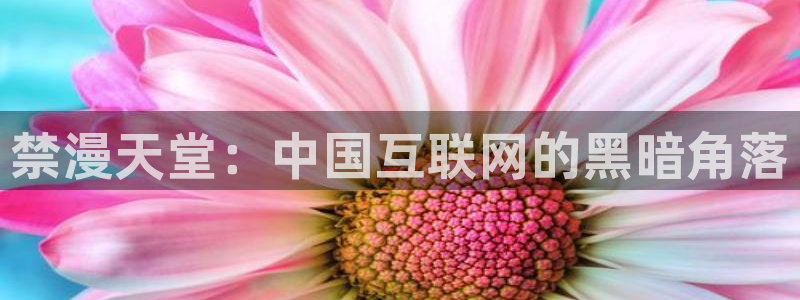 漫蛙链接怎么进