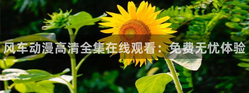 漫蛙漫画下载方法：风车动漫高清全集在线观看：免费无忧体验