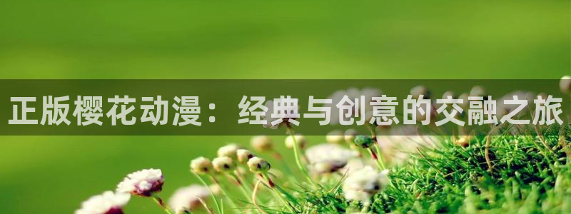 漫蛙下载最新：正版樱花动漫：经典与创意的交融之旅